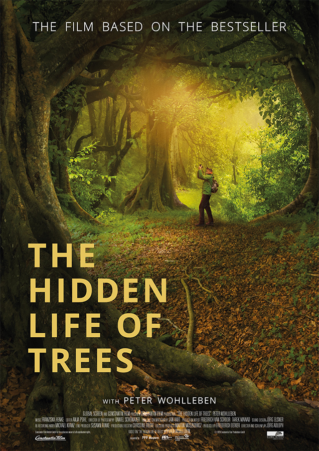 Poster THE HIDDEN LIFE OF TREES