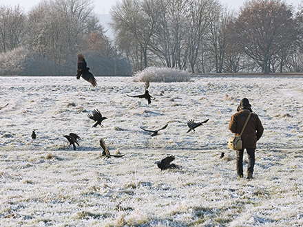 BIRDWATCHER – A STORY OF LONGING (WT) © Filmproduktion Loekenfranke