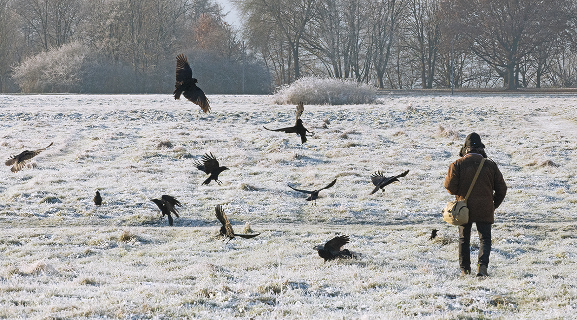 BIRDWATCHER – A STORY OF LONGING (WT) © Filmproduktion Loekenfranke